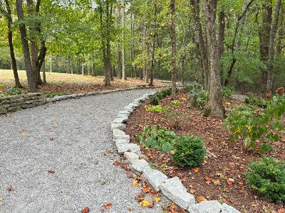 Walking Trail View