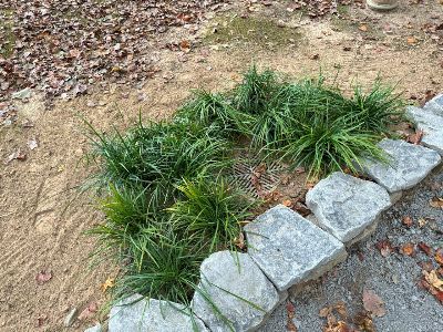 Walking Trail