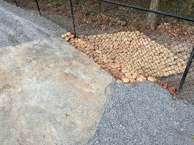 Walking Trail